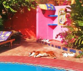 Our Bougainvillea covered Portal